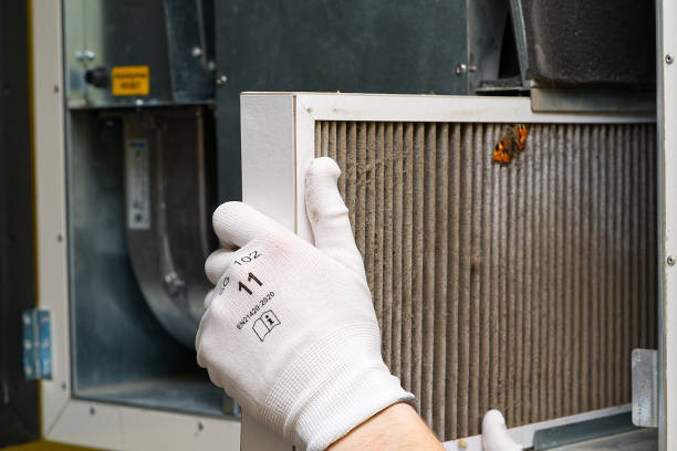 Best Professional Duct Cleaning Services  in Adrian, MI