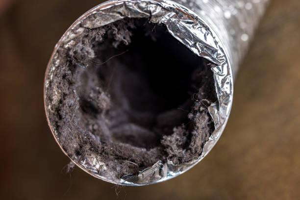Best Duct Cleaning for Homes  in Adrian, MI