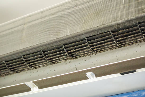 Best Commercial Air Duct Cleaning  in Adrian, MI
