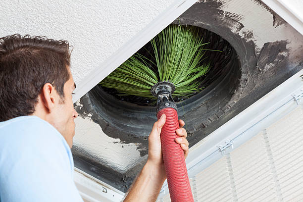 Best Affordable Duct Cleaning Services  in Adrian, MI
