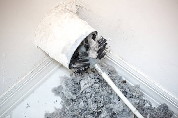 Best Professional Duct Cleaning Services  in Adrian, MI